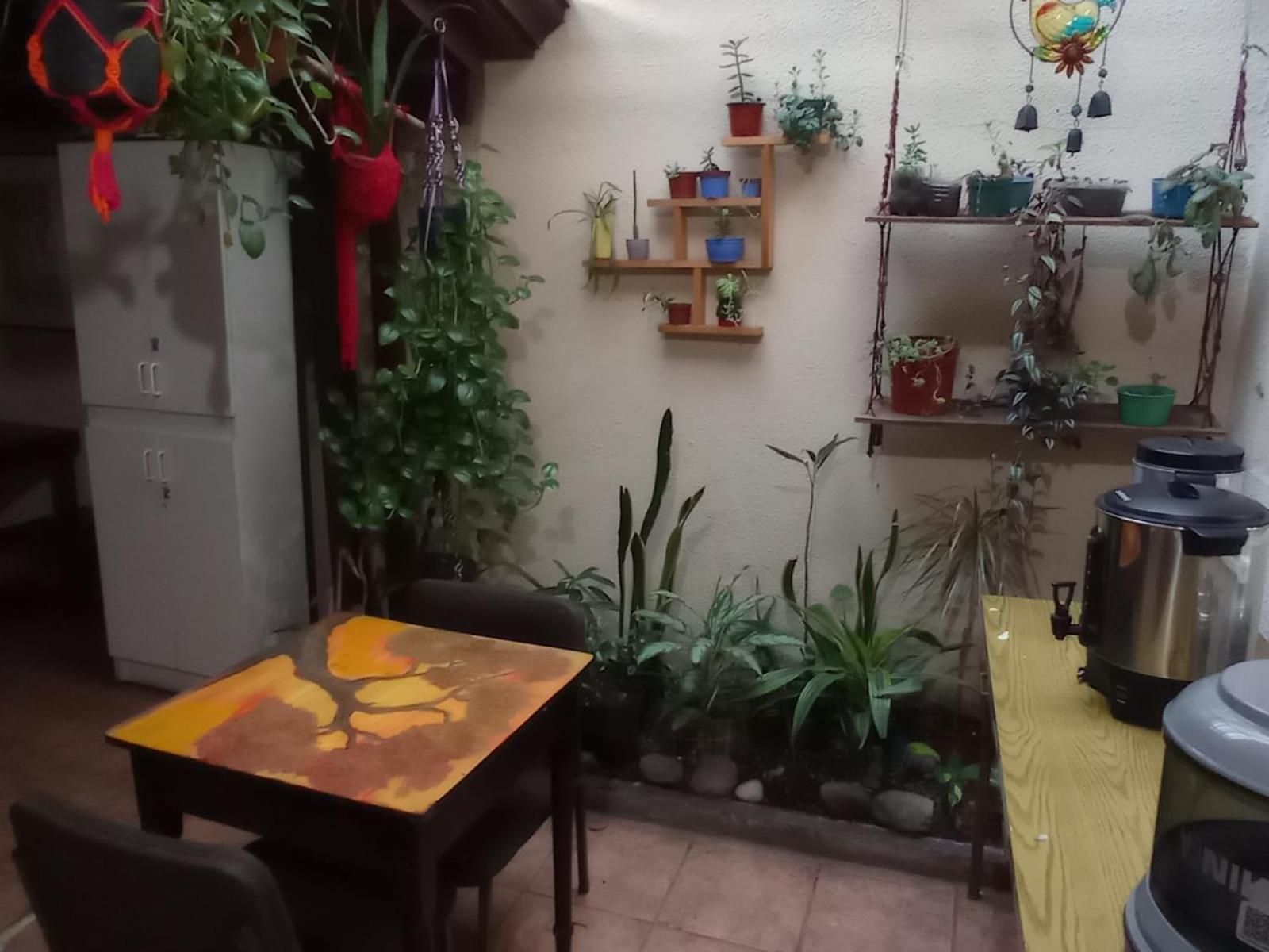 Hostel Casa Ridgway 聖荷西 外观 照片