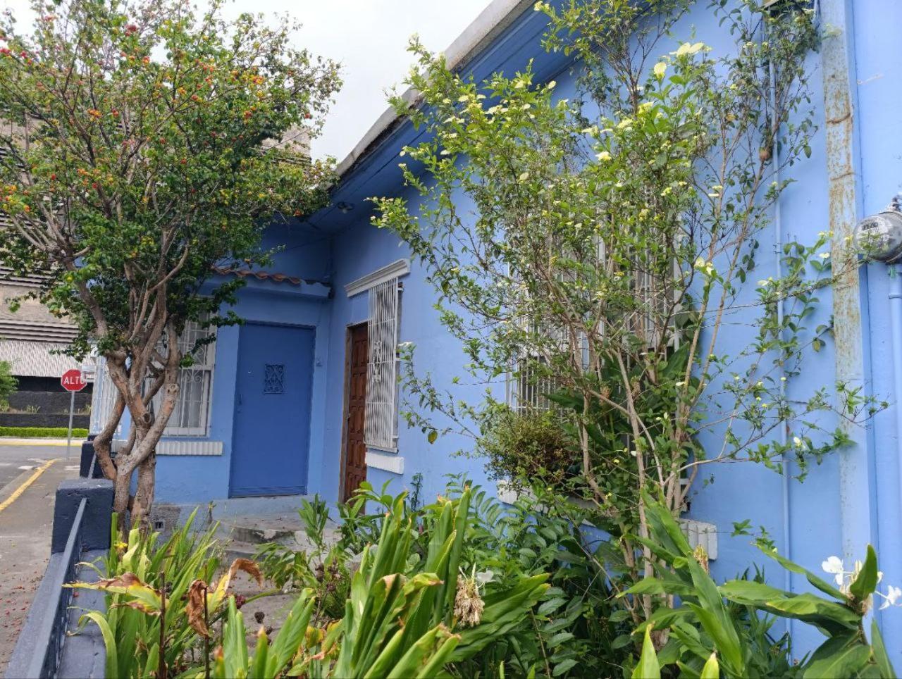 Hostel Casa Ridgway 聖荷西 外观 照片