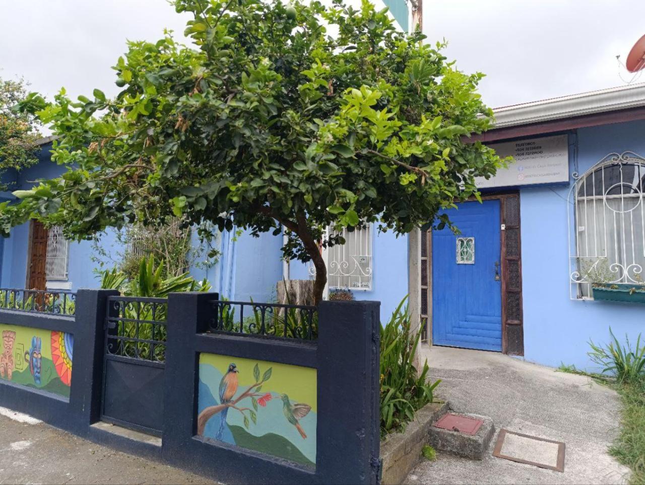 Hostel Casa Ridgway 聖荷西 外观 照片